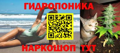 дурь Ливны