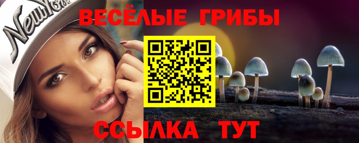 Псилоцибиновые грибы Psilocybine cubensis  Вход с VPN  Златоуст 